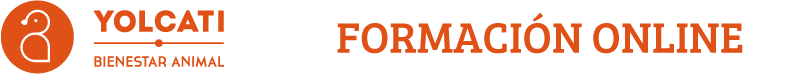 Formación Yolcati | Cursos online